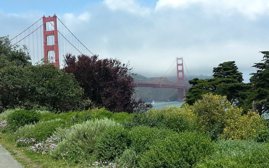 Da San Francisco a Sausalito in bicicletta