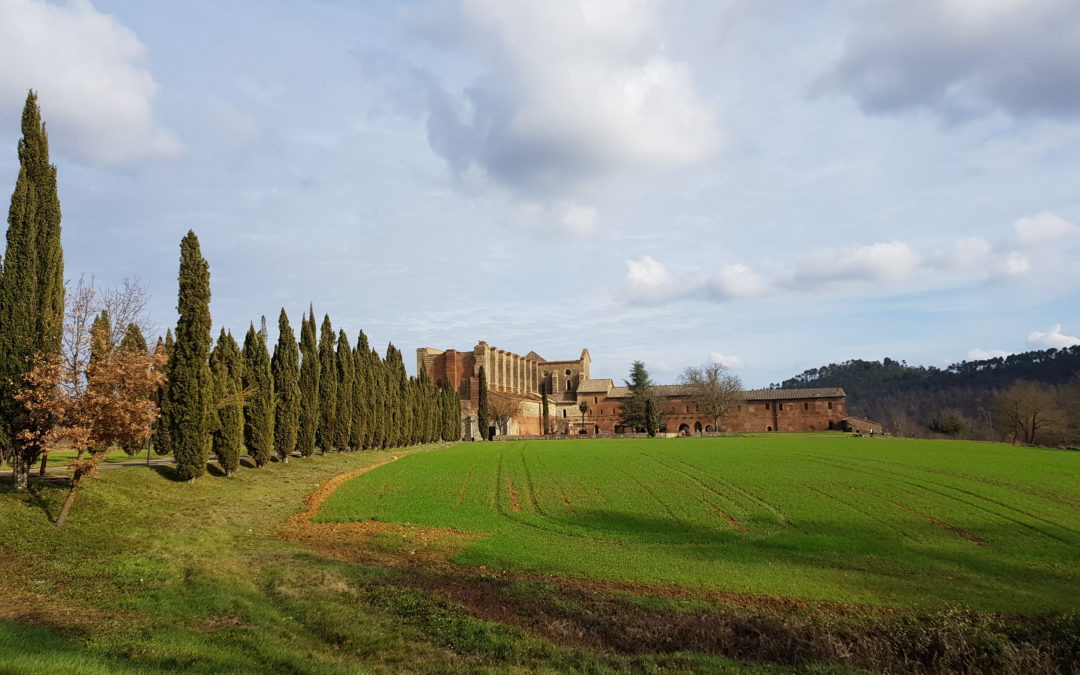 Abbazia di San Galgano e Eremo di Montesiepi