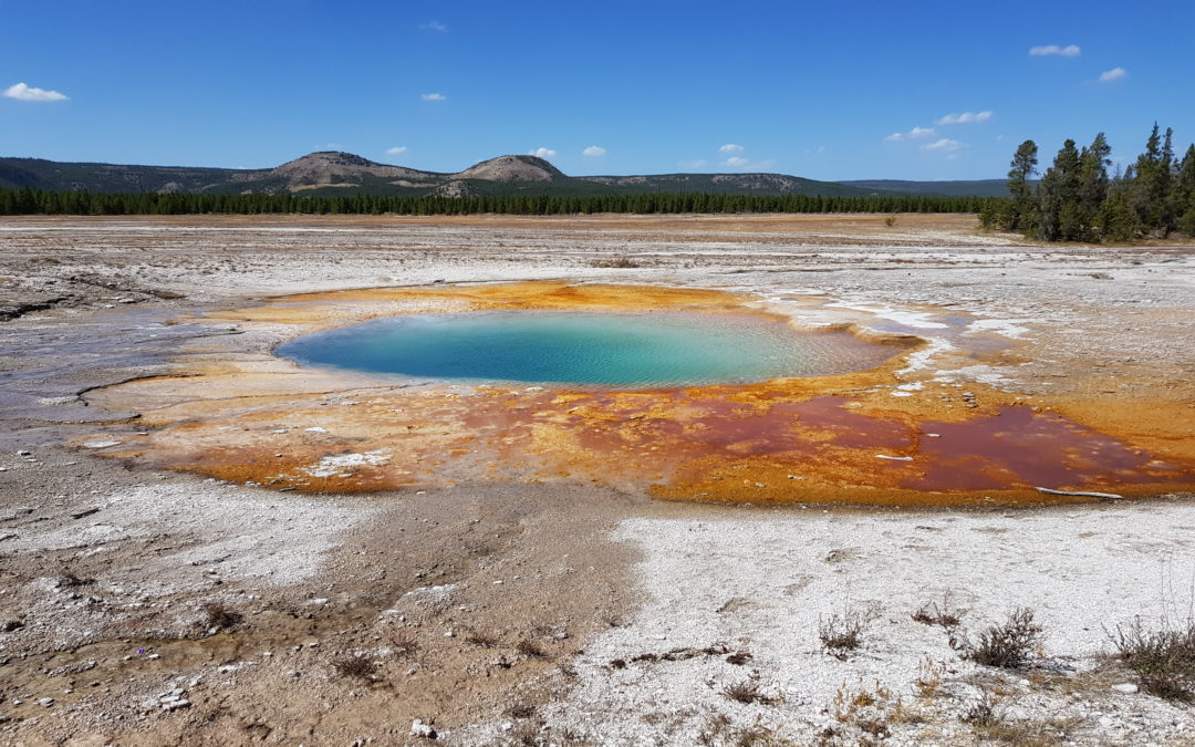 Upper Geyser Basin