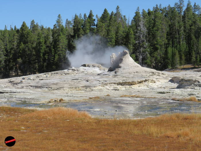 Upper Geyser Basin Yellowstone geyser