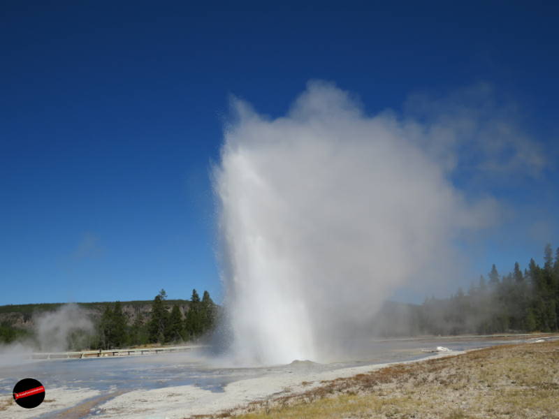 Upper Geyser Basin Yellowstone geyser