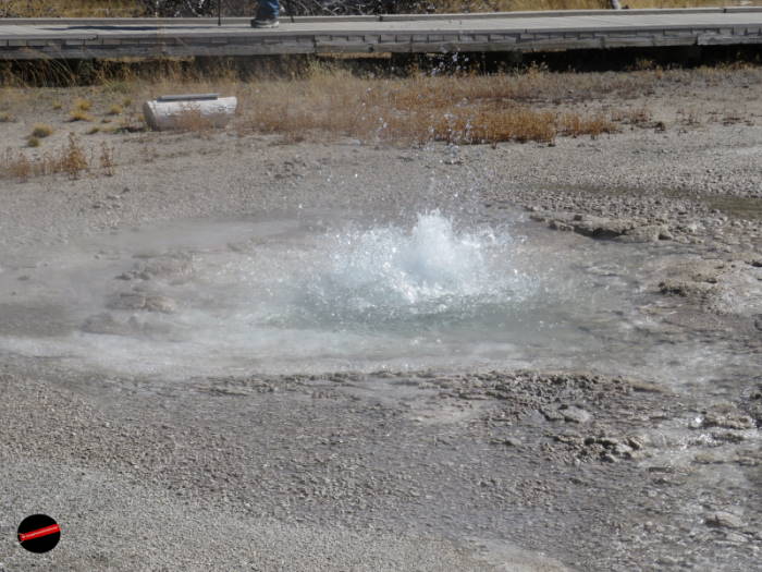 Upper Geyser Basin Yellowstone geyser