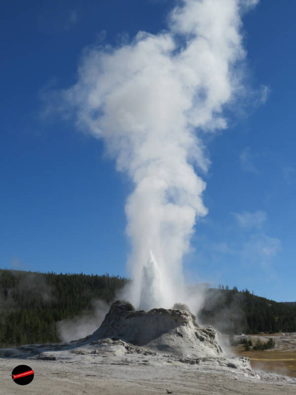 Upper Geyser Basin Yellowstone geyser