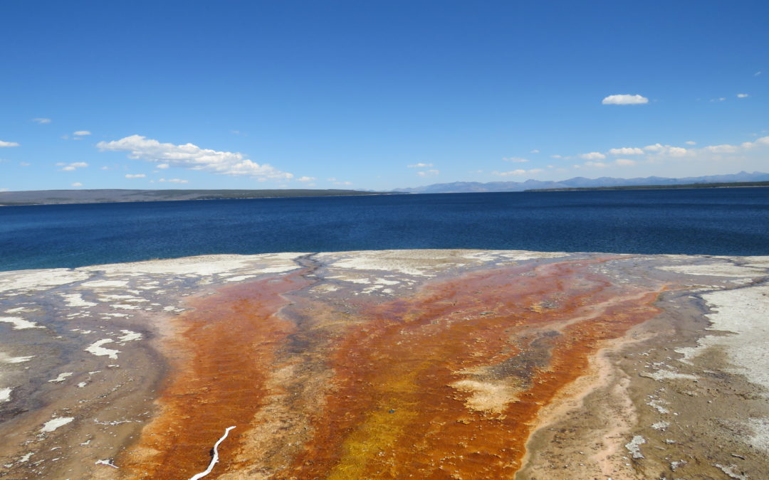 West Thumb Geyser Basin