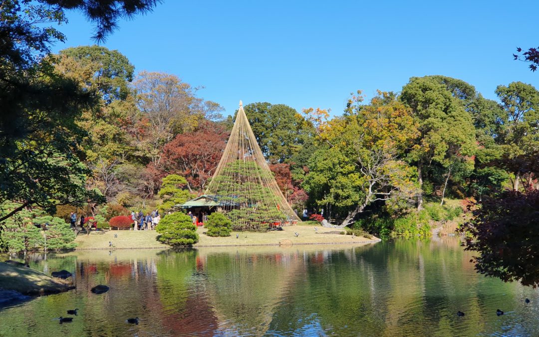 Tokyo - Cosa vedere in cinque giorni