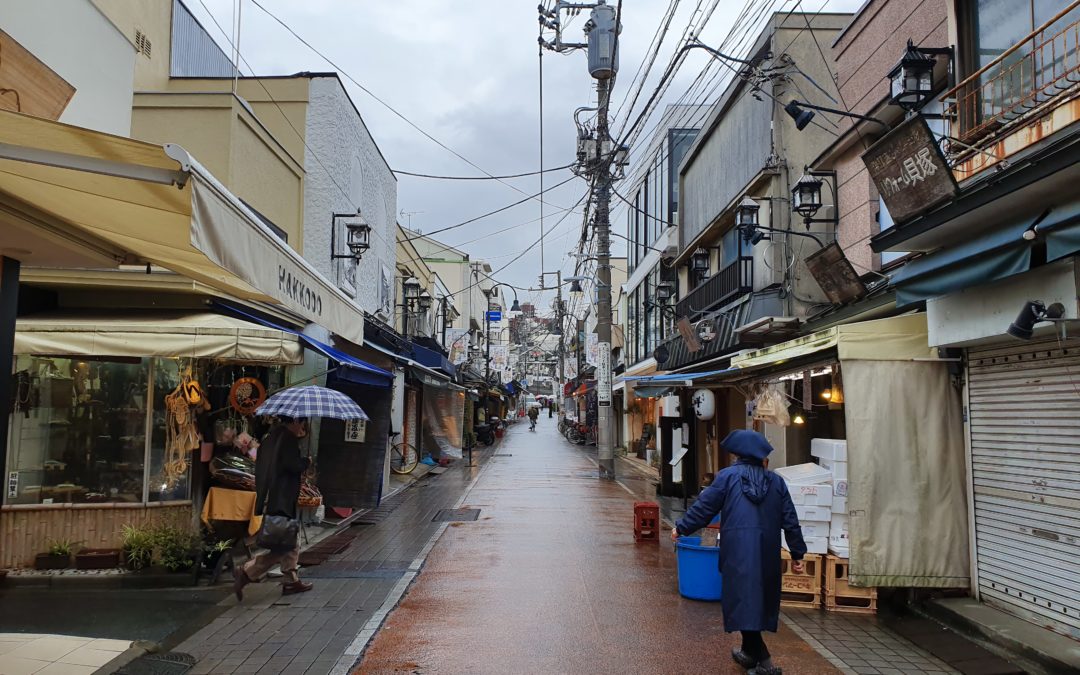 Tokyo – Yanaka e il Cedro Himalayano