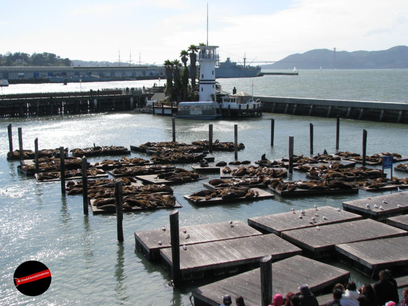 San Francisco - Cosa vedere in un giorno