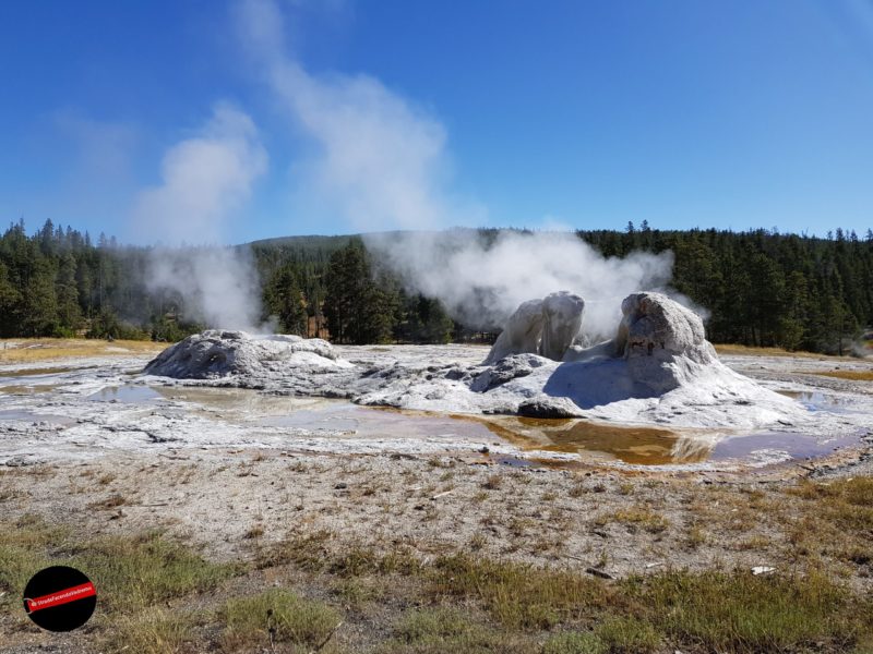 Upper Geyser Basin Yellowstone geyser