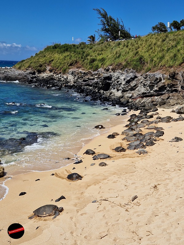 Maui - Ho’okipa Beach Park