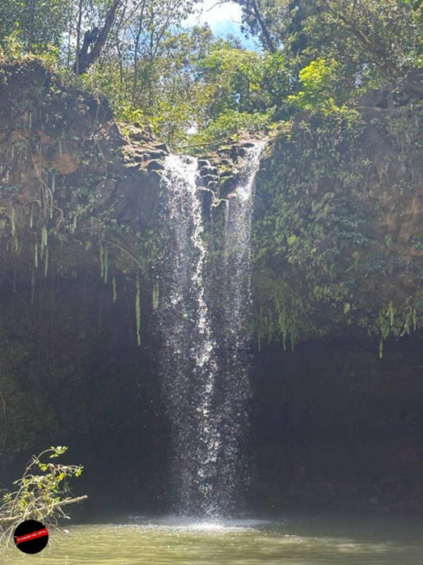 Maui - Road to Hana - Twin Falls