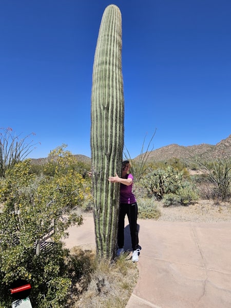 Arizona – Cosa vedere – Itinerario on the road