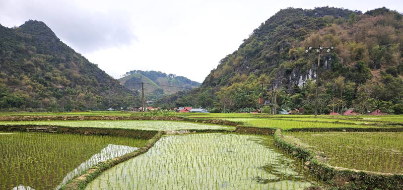 Vietnam - Riserva Naturale di Pu Luong